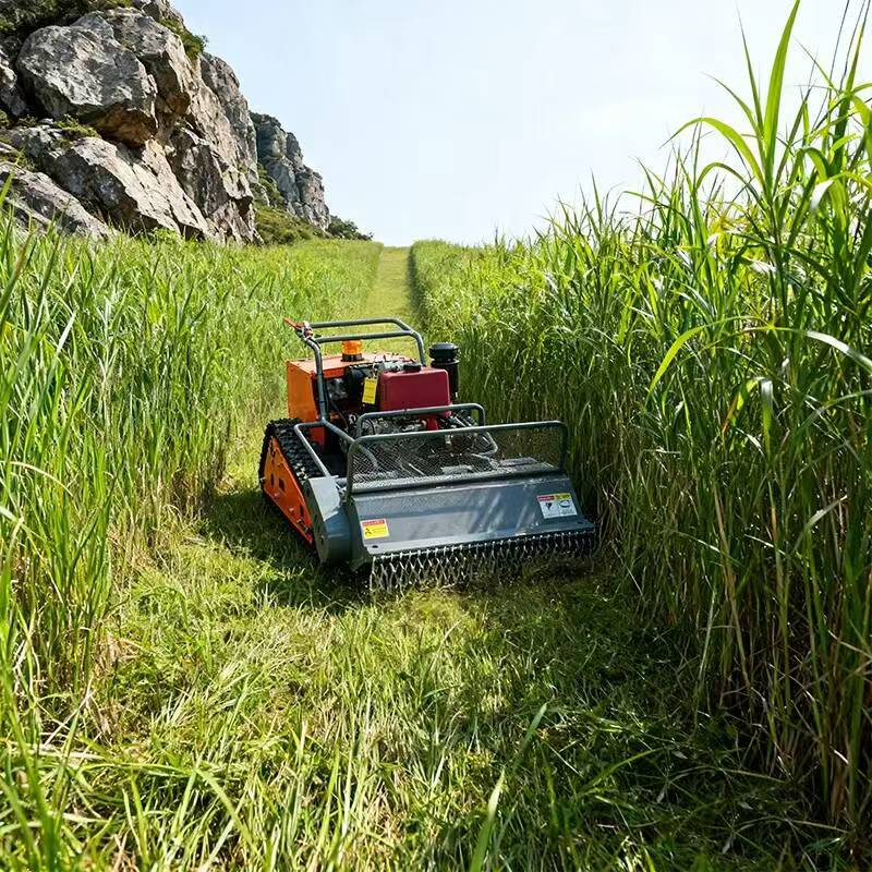 Best  Lawn Mower 2026