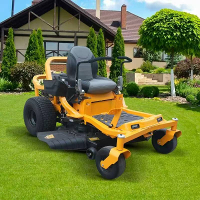 Kleiner Aufsitzmäher aus China