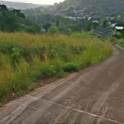 Газонокосилка с дистанционным управлением SAAO внедрена в Гваделупе