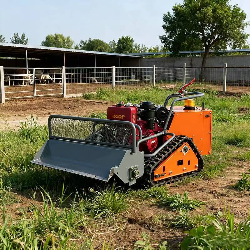 Best  Lawn Mower 2026