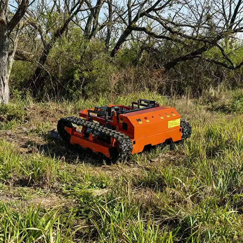 Tondeuse à gazon à distance