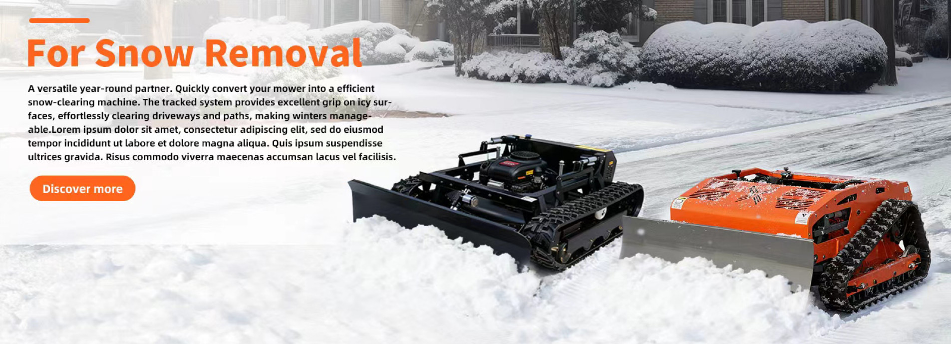 Rimozione della neve