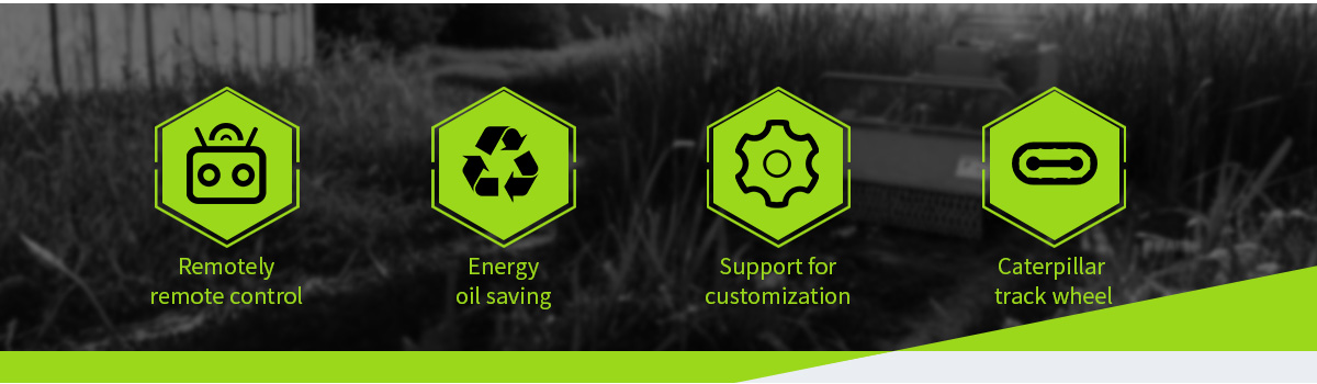 Elektrische Schneefräse und Rasenmäher.jpg