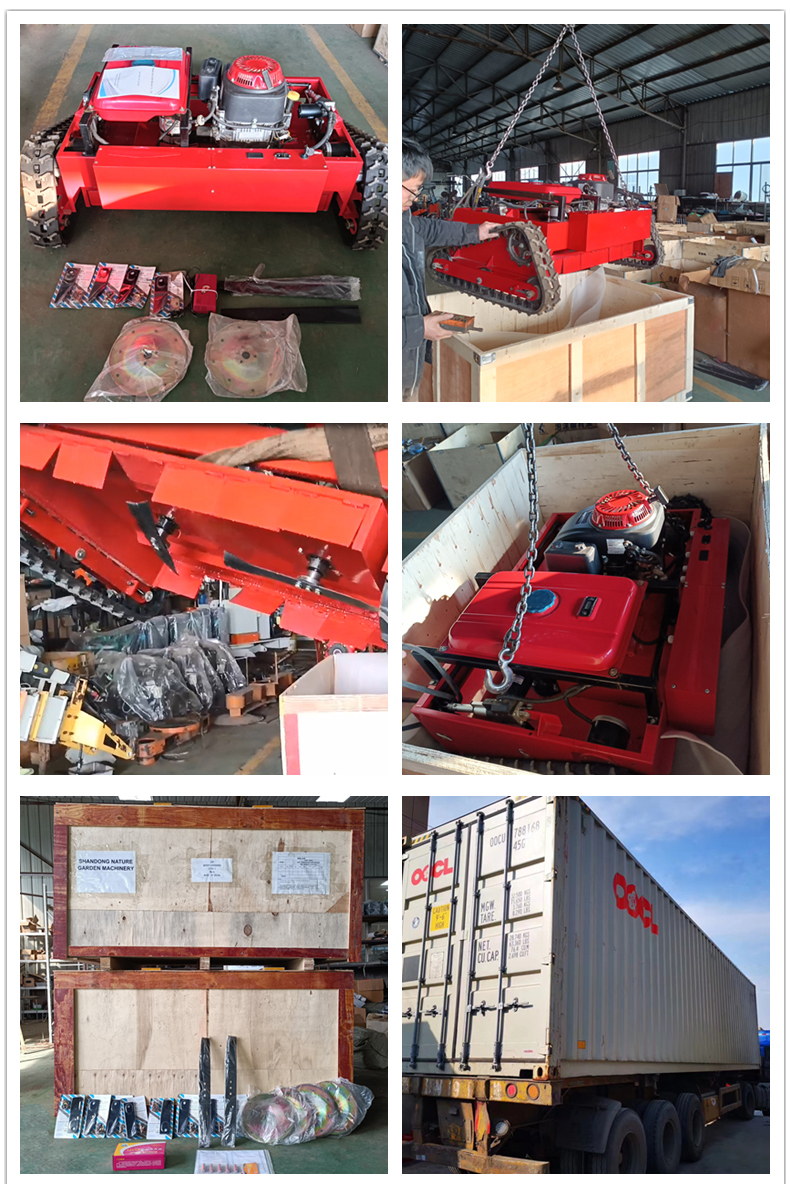 Bester Mähroboter Bester Mähroboter