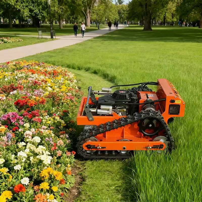 Self-propelled Budget Lawn Mower