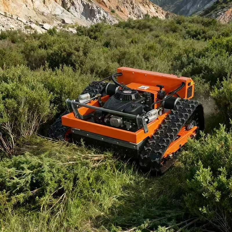 Self-propelled Budget Lawn Mower