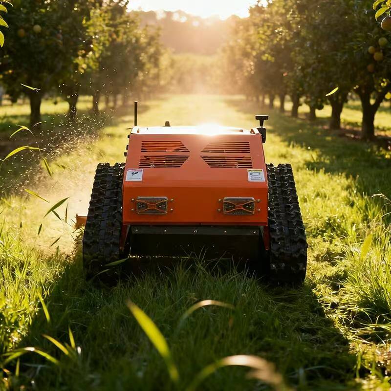 Máquina cortadora de césped para jardín