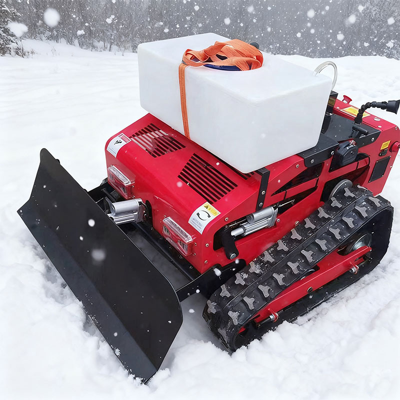 Self-Propelled Lawn Mower