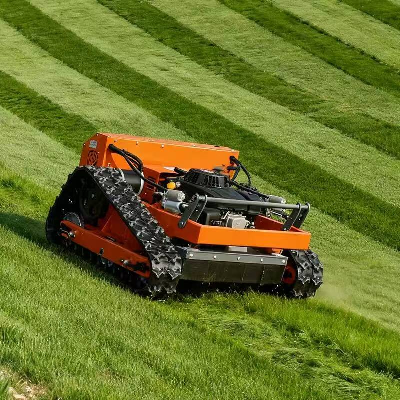 SAAO Cordless Lawn Mower 