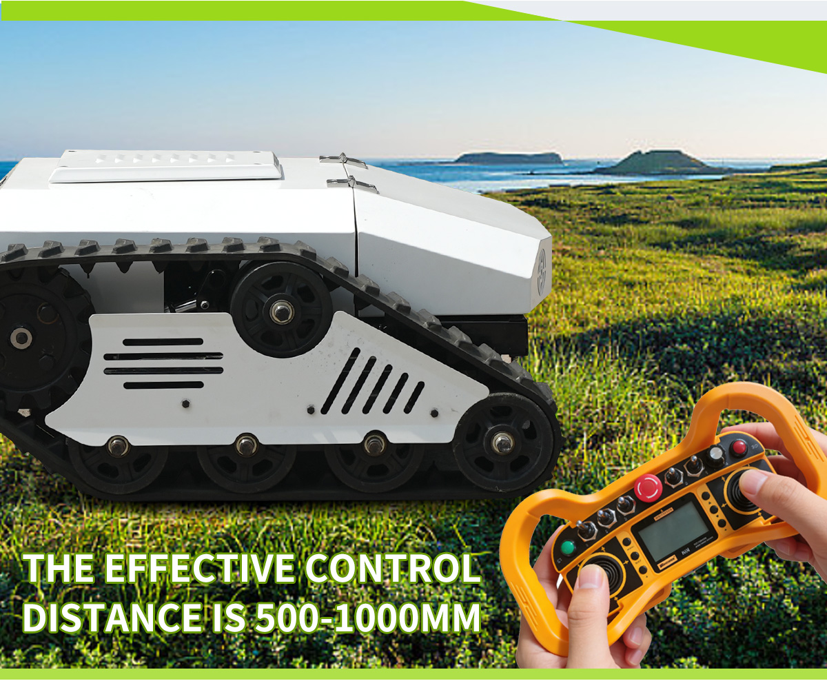 Электродвигатель для газонокосилки 230 В.jpg