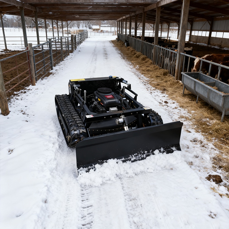 Best Petrol Lawnmower