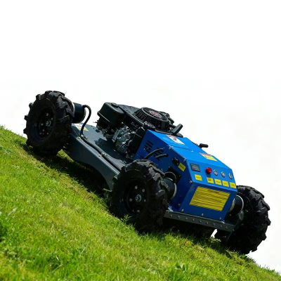 Tondeuse à gazon pour jardin