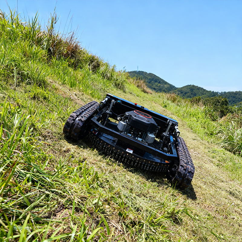 Prezzo della macchina tosaerba