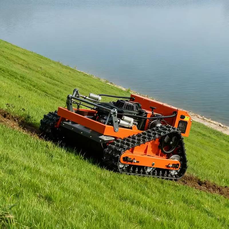 Self-propelled Budget Lawn Mower